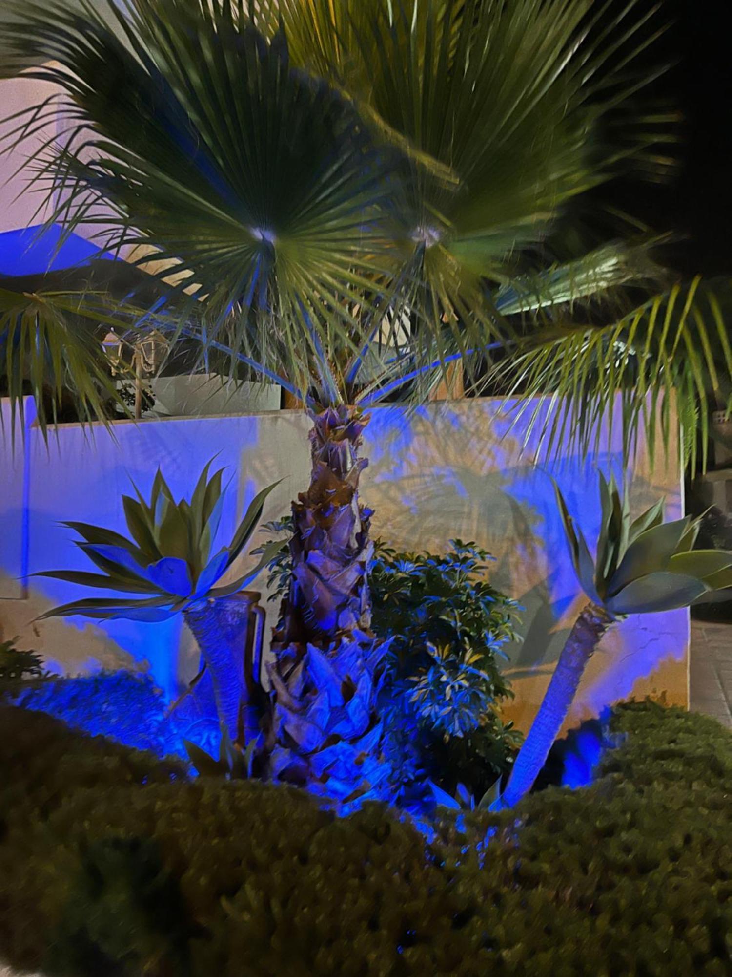Casadeleon - Costadelsol Vacations & Remote Work Sitio de Calahonda Exterior foto