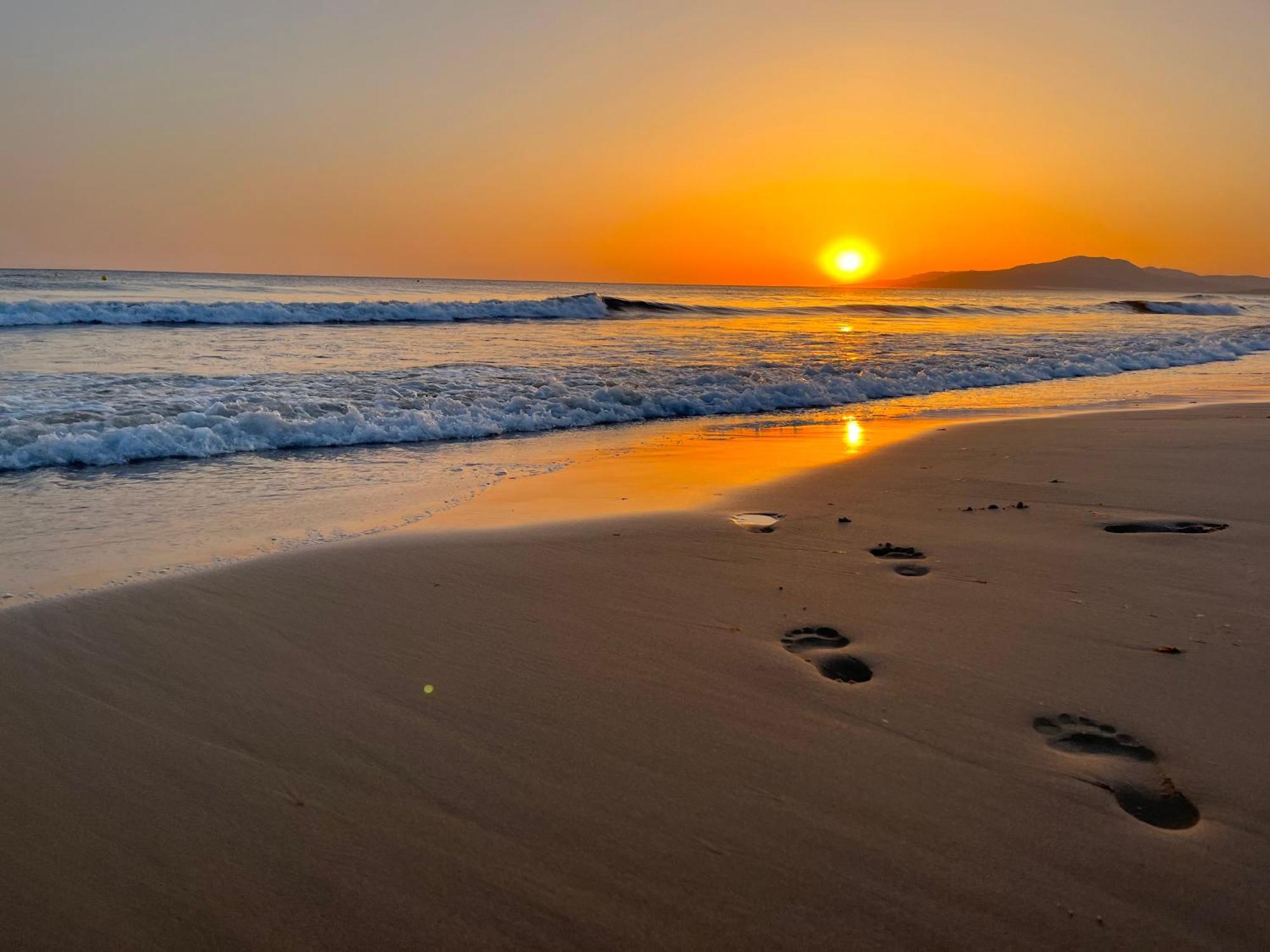 Casadeleon - Costadelsol Vacations & Remote Work Sitio de Calahonda Exterior foto