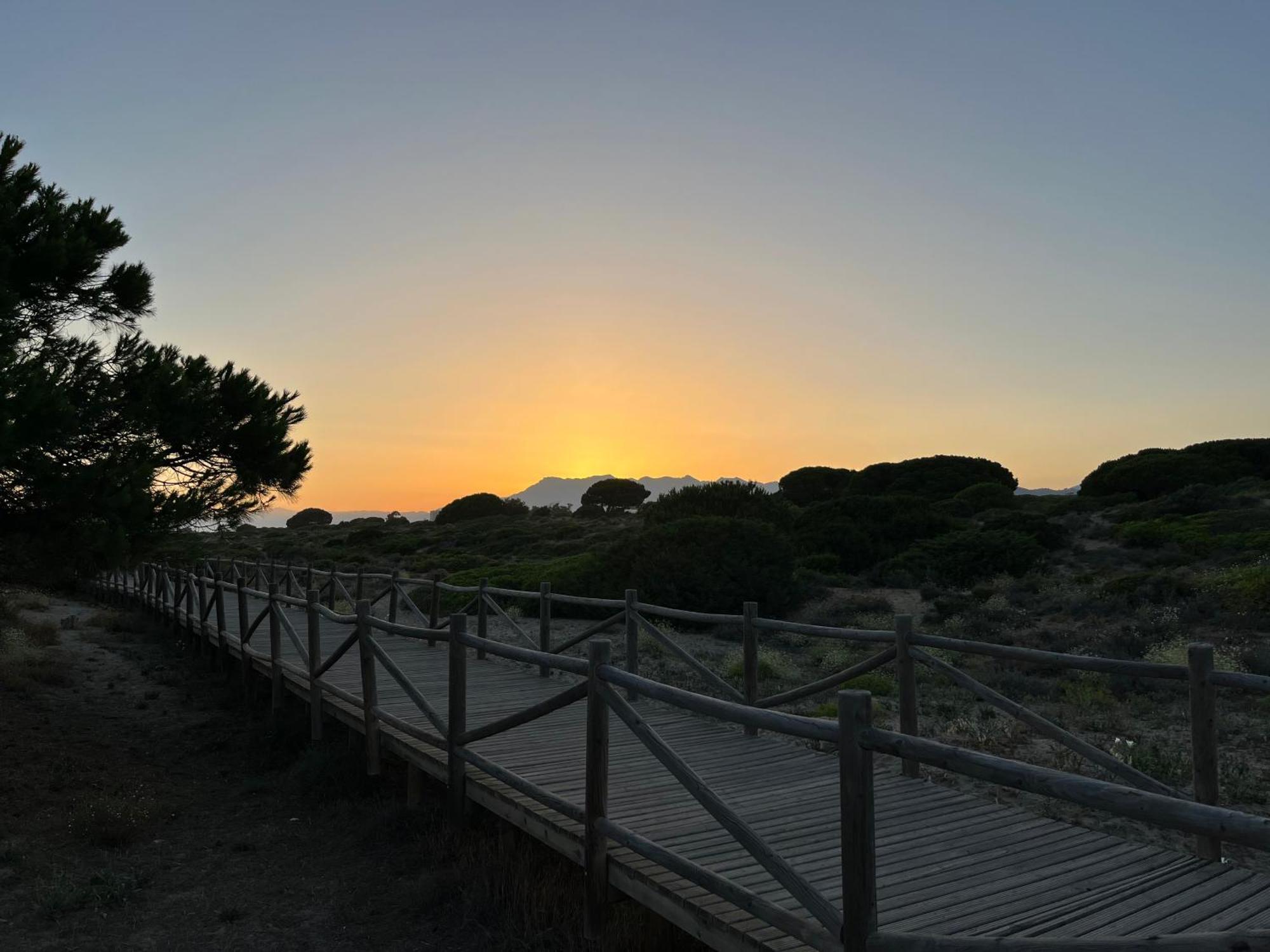 Casadeleon - Costadelsol Vacations & Remote Work Sitio de Calahonda Exterior foto